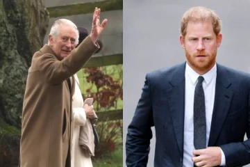 30 நிமிடங்கள் மட்டுமே மகன் ஹரியை பார்த்த மன்னர் சார்லஸ்: நிபுணர் கூறிய காரணம்