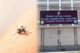 டெங்கு தொற்று அதிகரிக்க இதுவே காரணம்: சுகாதார சேவைகள் பணிப்பாளர் ஆ.கேதீஸ்வரன்
