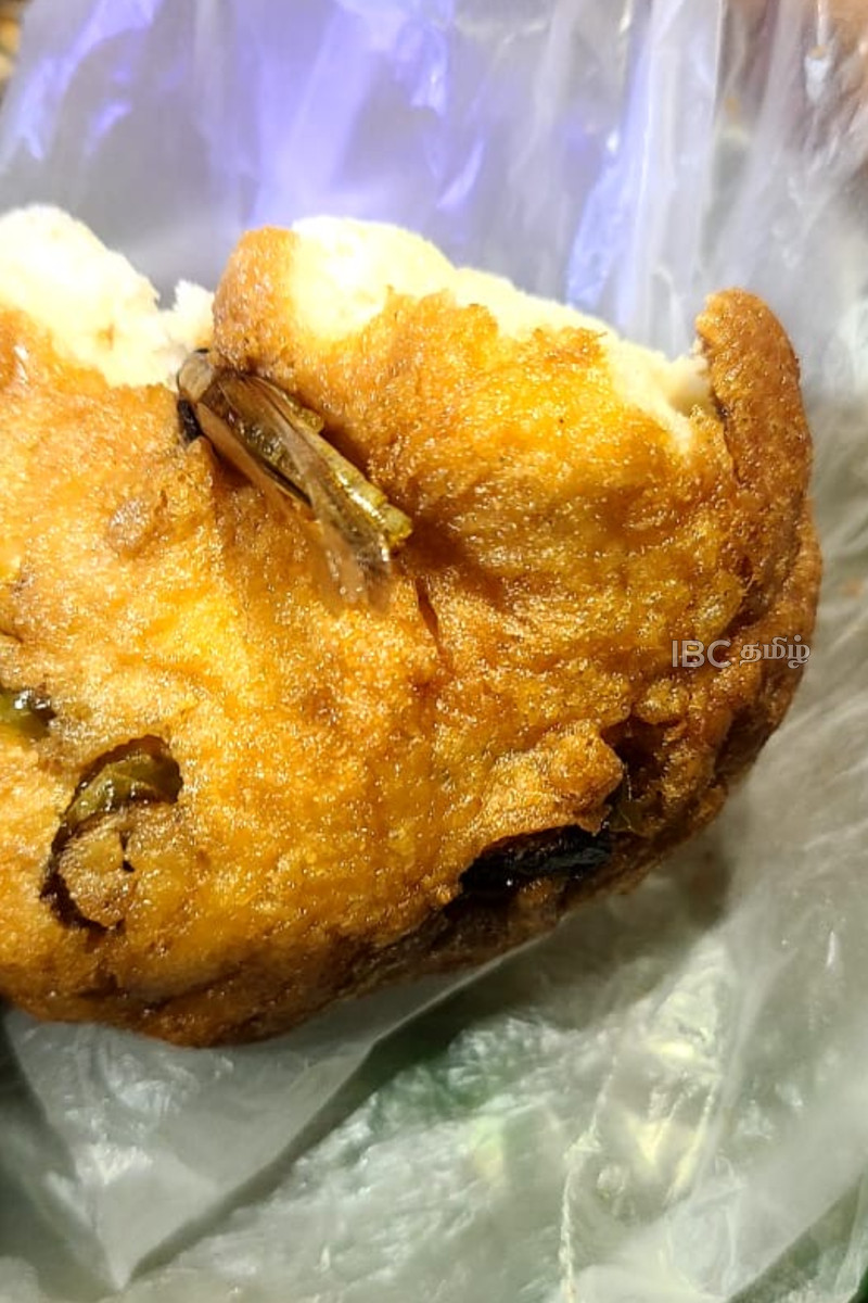 மன்னாரில் பிரபல உணவகத்தில் வாங்கிய வடையில் வெட்டுக்கிளி! | Grasshopper Found In Vadai At Mannar Eatery மன்னாரில் பிரபல உணவகத்தில் வாங்கிய வடையில் வெட்டுக்கிளி! | Grasshopper Found In Vadai At Mannar Eatery