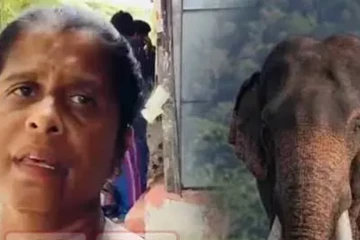 15ක් විතර ඇවිත් මහත්තයට කාවන්තිස්සට වෙඩි තිබ්බා කියලා පිළිගන්න කීවා - වෙඩි තැබූ බවට සැක පුද්ගලයාගේ බිරිඳගෙන් ආයාචනයක්