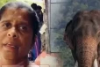 15ක් විතර ඇවිත් මහත්තයට කාවන්තිස්සට වෙඩි තිබ්බා කියලා පිළිගන්න කීවා - වෙඩි තැබූ බවට සැක පුද්ගලයාගේ බිරිඳගෙන් ආයාචනයක්