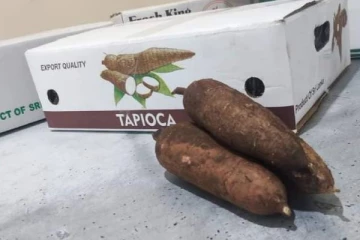 இலங்கை மரவள்ளி கிழங்குகளிற்கு வெளிநாடுகளில் கிடைத்த மவுசு