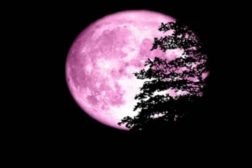 நாளை வானில் தோன்றும் PINK MOON