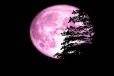 நாளை வானில் தோன்றும் PINK MOON