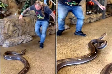 12 அடி பாம்புடன் ஓடி பிடித்து விளையாடிய அதிசய நபர்! பீதியை கிளப்பும் வீடியோ காட்சி