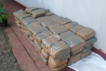 யாழிலிருந்து கொழும்பு கொண்டு செல்லப்பட்ட கஞ்சா மீட்பு: இருவர் கைது(Photos)