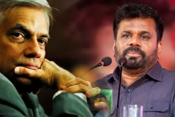 ரணிலை நீதிமன்றத்துக்கு அழைத்துச் செல்வேன் - கடும் தொனியில் எச்சரிக்கும் அநுர