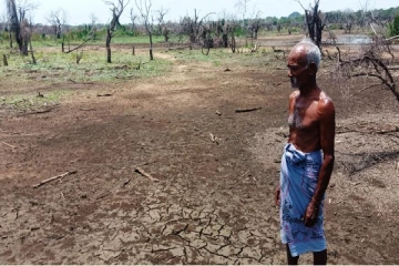 கடும் வறட்சி - கடுமையாக பாதிக்கப்பட்டுள்ள வடக்கு மாகாணம்