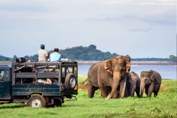 සංචාරක කර්මාන්තයට සුබ ආරංචියක් - ශ්‍රී ලංකාවේ සංචාරක ආදායම අගෝස්තු මාසයේදී ඉහළට