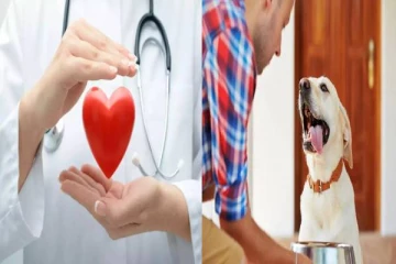 நாய் வளர்பப்பது இதய ஆரோக்கியத்தை பாதுகாக்குமா? முழுசா தெரிஞ்சிக்கோங்க