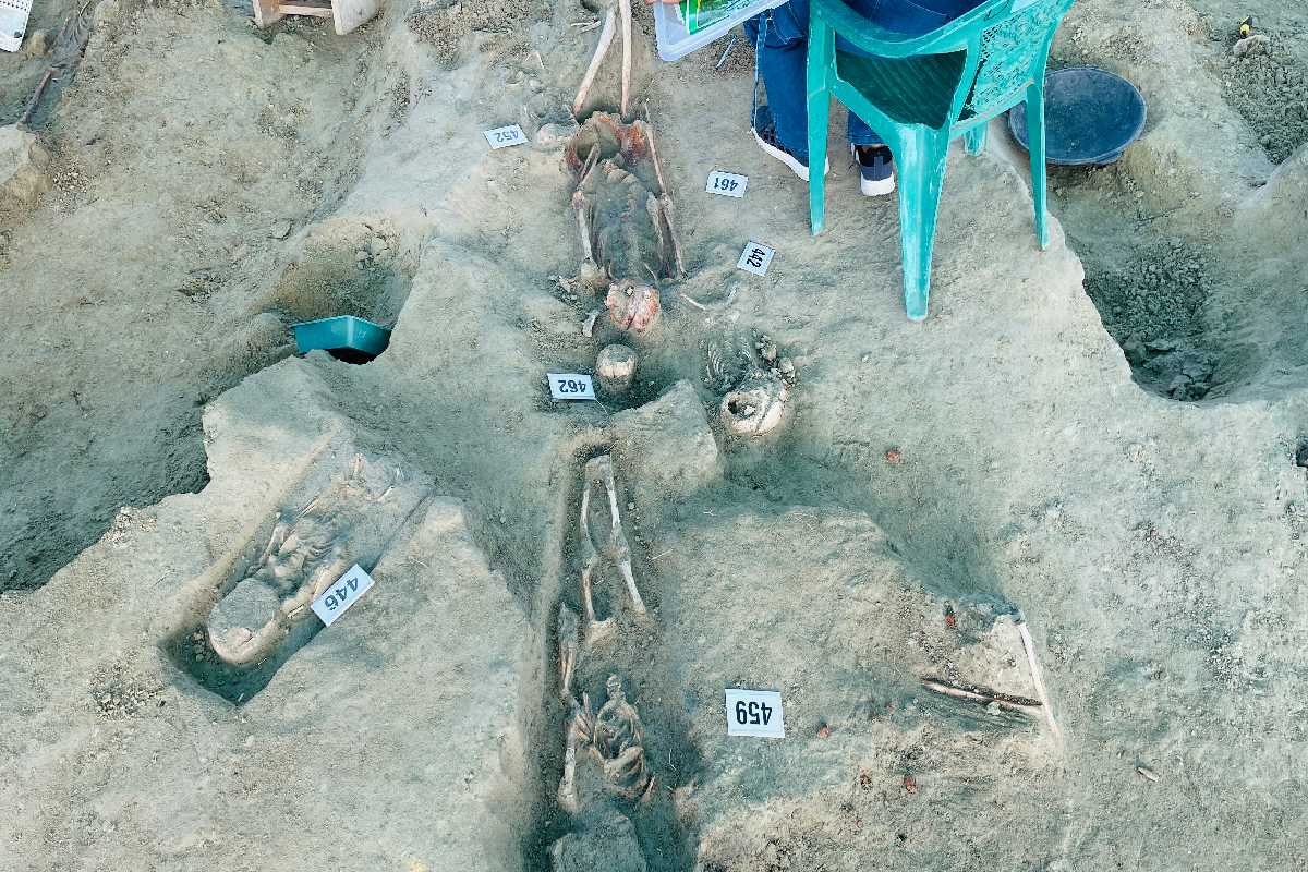 செம்மணியில் இன்றும் அகழப்பட்ட 11 என்புக்கூடுகள் | Chemmani Mass Graves Jaffna