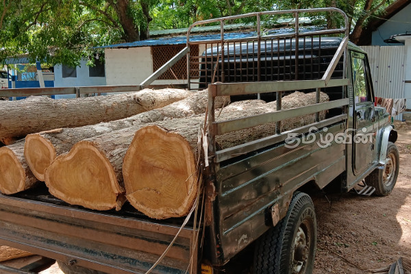 கிளிநொச்சி - தர்மபுரம் பகுதியில் முறியடிக்கப்பட்ட சட்டவிரோத நடவடிக்கை | Police Crack Down On Illegal Timber Smuggling