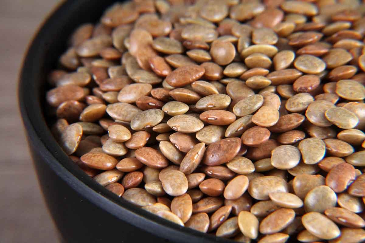 கொள்ளு சாப்பிடுவதால் இந்த நன்மைகள் கிடைக்கும்! | Eating Horse Gram Offers These Benefits கொள்ளு சாப்பிடுவதால் இந்த நன்மைகள் கிடைக்கும்! | Eating Horse Gram Offers These Benefits