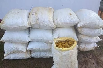 மஞ்சள், மின்சாதன பொருட்களை கடத்த முயற்சித்த ஐந்து சந்தேகநபர்கள் கைது