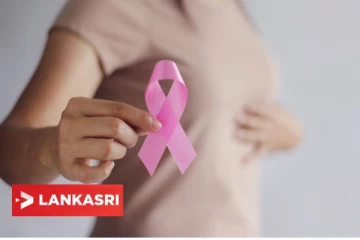 மார்பக புற்றுநோயை தடுக்க இந்த உணவுகளை எடுத்து கொண்டாலே போதும்!