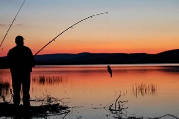 மீன் பிடிக்க சென்ற குடும்பஸ்தர் மாயம்