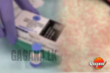 එක්සත් ජනපදය තුල සරම්ප රෝගය යළිත්