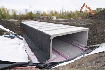 தவளையின் நலனுக்காக சாலை அமைக்கும் பணியையே நிறுத்த உத்தரவிட்ட கனேடிய நீதிமன்றம்