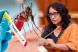 புதிய வைரஸால் நாட்டில் டெங்கு அதிகரித்துள்ளது; பிரதமர் ஹரினி அமரசூரிய