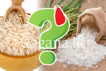 බාස්මතී කියා මිලදී ගන්නෙත් මෙම සහල් ද ? - එළියට ආ අලුත්ම අනාවරණය.