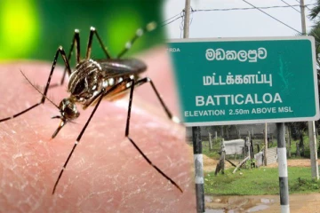 மட்டக்களப்பில் வேகமாக பரவும் டெங்கு நோய்!