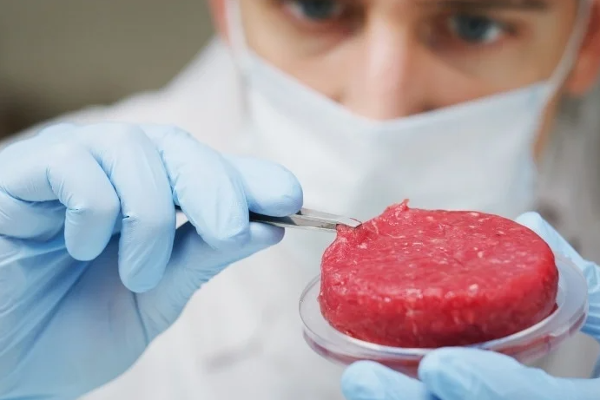 செயற்கை இறைச்சிக்கு அமெரிக்காவில் அனுமதி | Artificial Meat Is Allowed In The Us