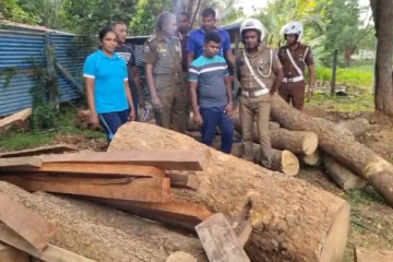 முல்லைத்தீவில் வீடொன்றில் மரக்குற்றிகளை வைத்திருந்த பெண் கைது