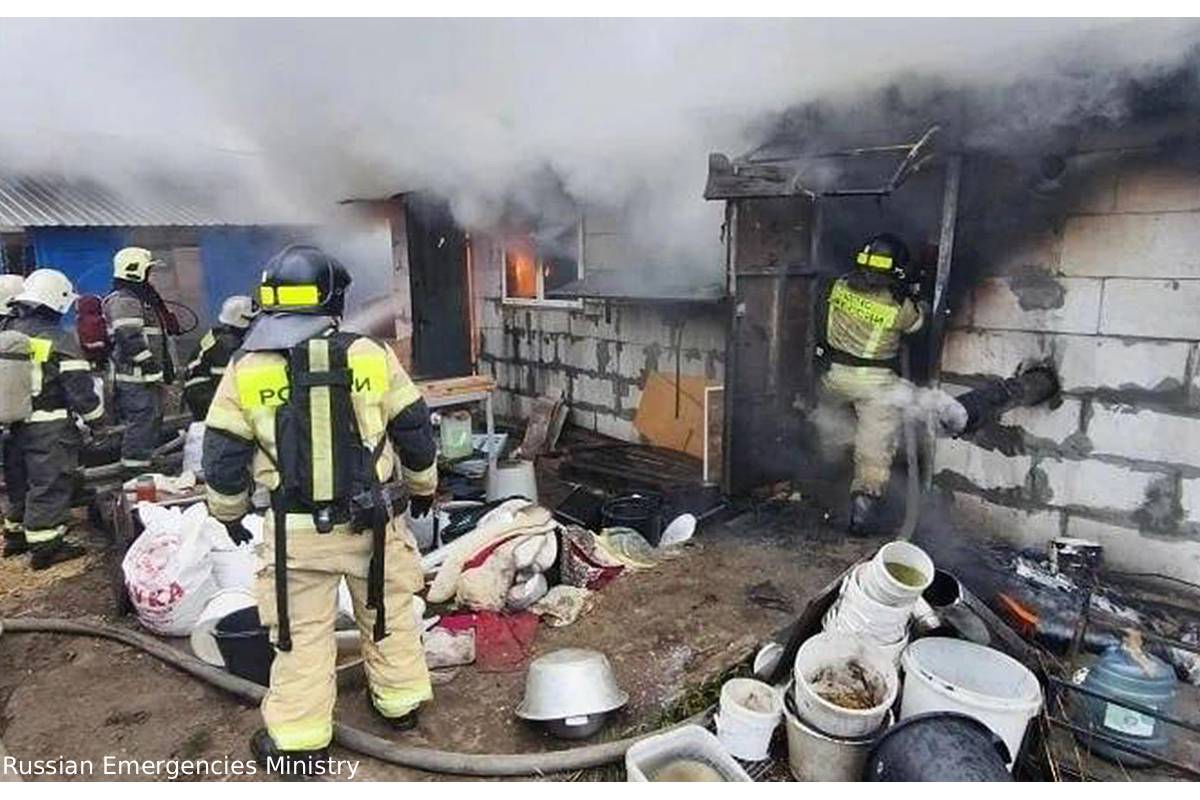 hundreds of dogs dies fire accident in russia