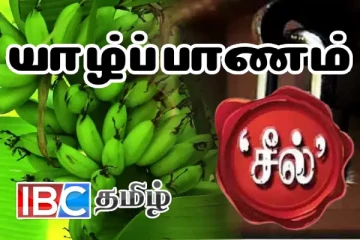 யாழ்ப்பாணம் - நீர்வேலி வாழைகுலைச் சந்தை தராசுக்கு சீல்