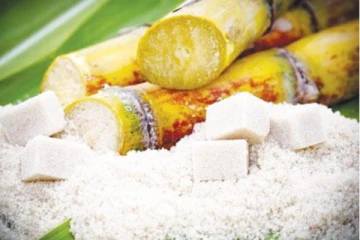 සීනි සමාගමෙන් කෝටි 73ක දීමනා..