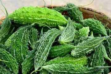 நன்மைகள் தரும் பாகற்காயில் இத்தனை ஆபத்தா? உஷாரா சாப்பிடுங்க மக்களே