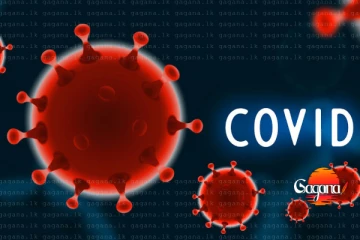 ලෝකෙටම තර්ජනයක් වූ කොරෝනාව ගැන භයානක රහසක් එළිවෙයි - බිල් ගේට්ස්ට යවපු ඊමේල් පණිවුඩ අහුවෙයි