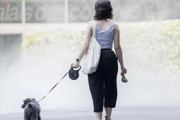 கனேடிய மாகாணமொன்றில் ஒரே மாதத்தில் இரண்டாவது முறையாக வரலாறு காணாத அளவு வெப்பம்