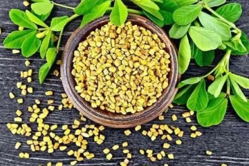 வெறும் வயிற்றில் ஒரு ஸ்பூன் வெந்தயம்: உடலில் ஏகப்பட்ட அதிசயத்தை காணலாம்