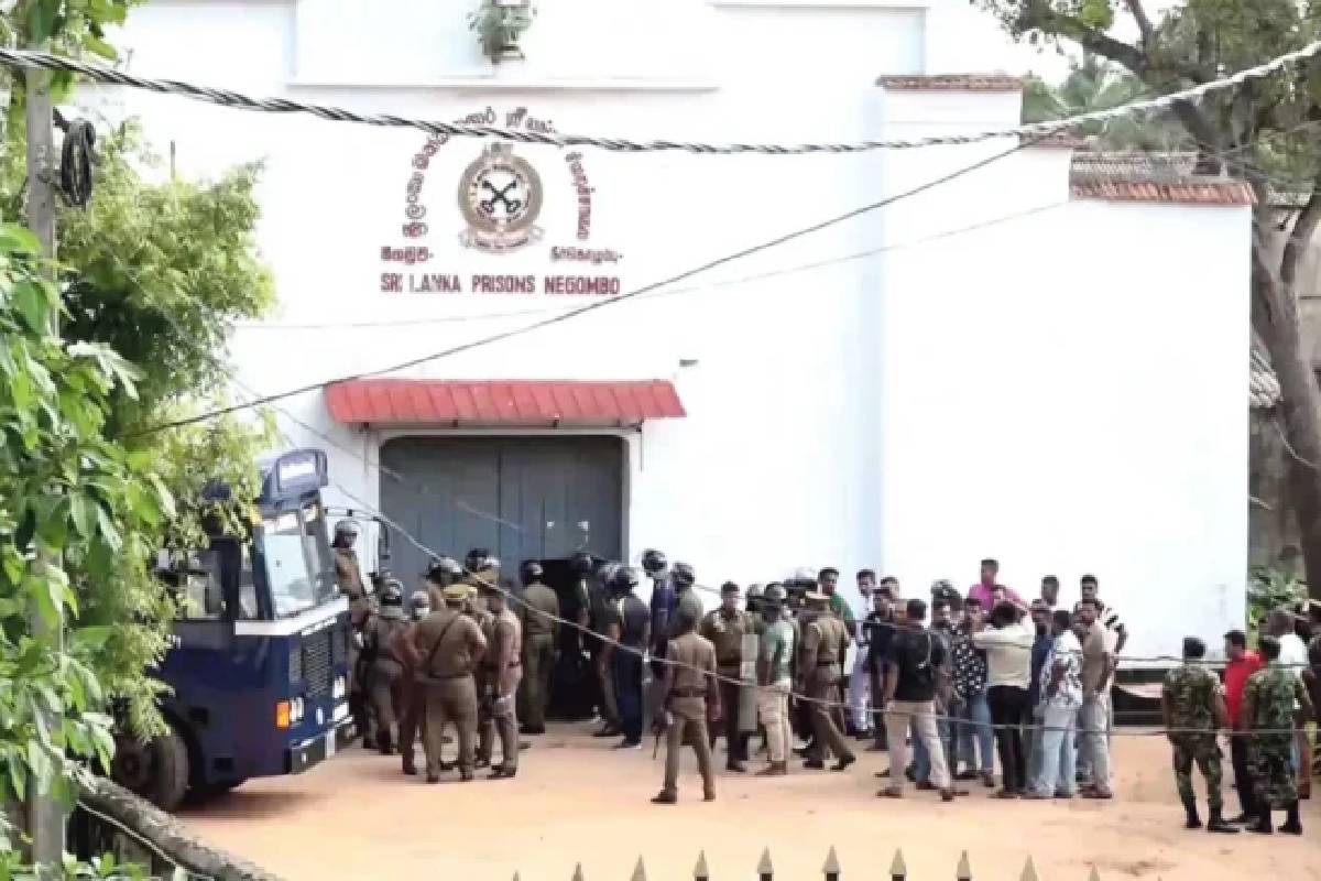 நீர்கொழும்பு சிறை வன்முறை: கைதிகள் பயன்படுத்திய ஆயுதங்கள் குறித்து அதிர்ச்சி தகவல் | Negombo Prison Incident News Updates Tamil
