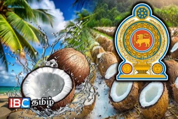 உச்சம் தொடும் தேங்காய் விலைக்கு தீர்வு : வெளியான அறிவிப்பு