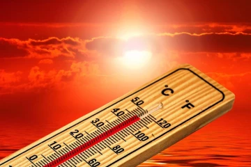 சிறுவர்கள் தொடர்பில் சுகாதார பிரிவினரின் விசேட அறிவுறுத்தல்