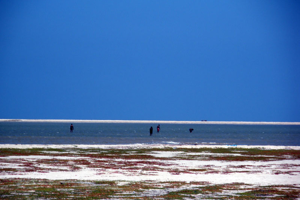 இந்தியாவின் கடைசி நிலம் “தனுஷ்கோடி”! இலங்கையிலிருந்து 31 கி.மீ தொலைவு மட்டுமே | Indias Last Land Dhanushkodi In Tamil