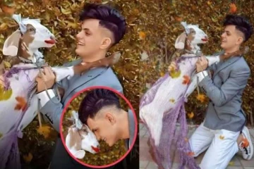 காதல் தோல்வியால் ஆட்டை திருமணம் செய்து கொண்ட இளைஞர்