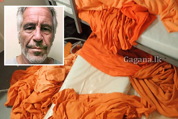 විකෘති ලිංගික ආසාවන් තියෙන ලෝක බලවතුන් වෙනුවෙන් වෙනම ලෝකයක් හදපු ආන්දෝලනාත්මක එප්ස්ටයින් ලිපිගොනුවල ලංකාවත් ගෑවෙයි | Epstein Files Reveal Global Elite Connections