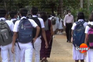 කොළඹ දිස්ත්‍රික්කයේ පාසල් ළමුන් ගැන භයානක අනාවරණයක්
