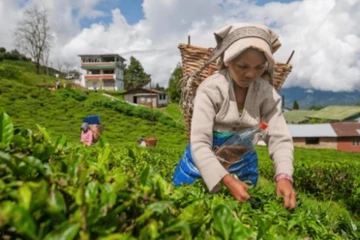 නියම චාන්ස් එකක් - රජයේ වතු ඉඩම්වල සහ දේපළවලට ආයෝජනයට අවස්ථාවක්