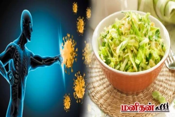 நோய்யெதிர்ப்பு ஆற்றலை அதிகரிக்கும் முட்டைக்கோஸ்! இனி இப்படி சாப்பிடுங்க