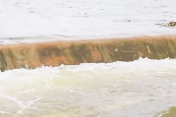 மன்னார் கட்டுக்கரை குளப்பகுதி ஆபத்தில்.. | Sri Lanka Weather Updates