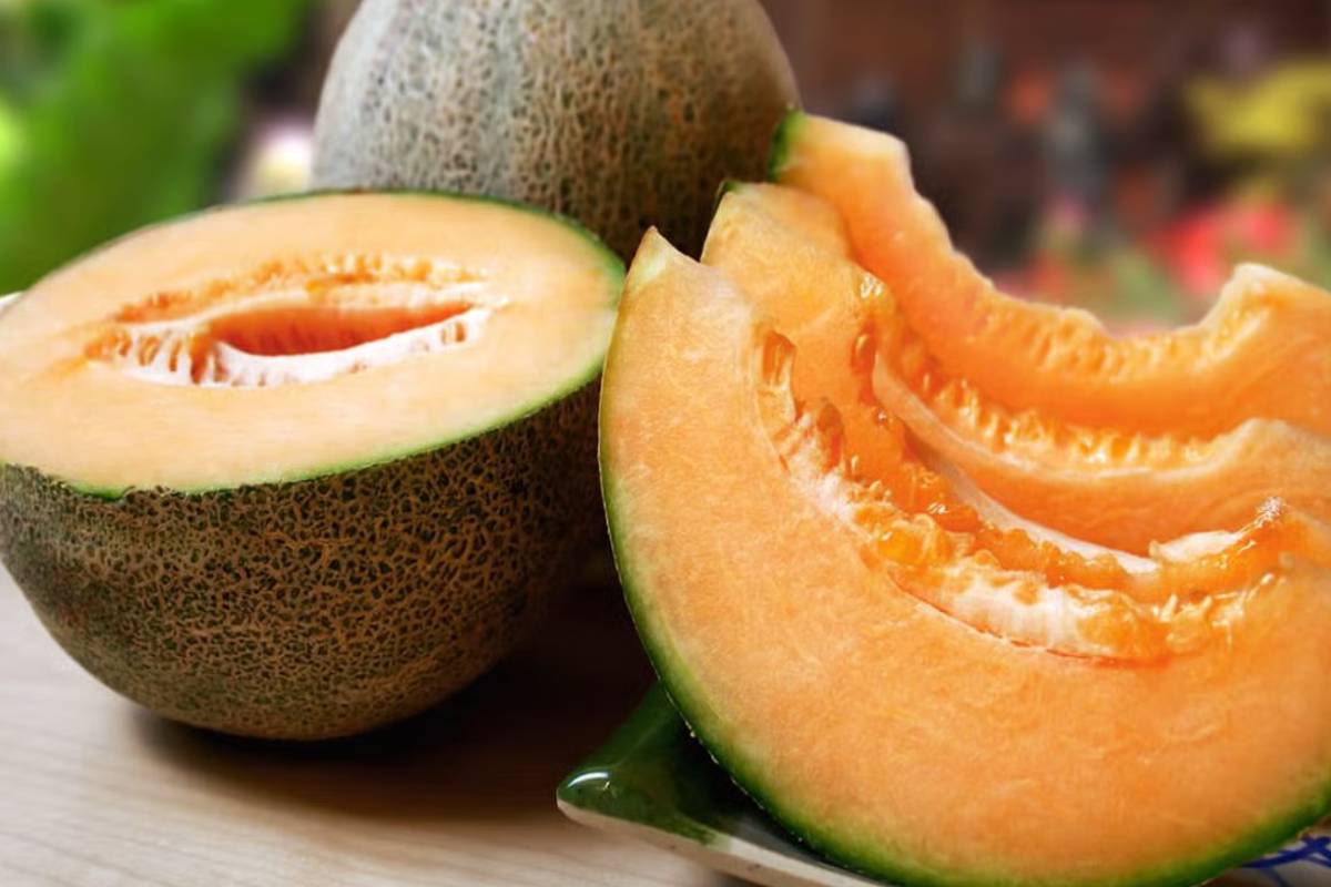 16 லட்சத்திற்கு ஒரு பழமா? அப்படி என்ன இருக்கு இந்த பழத்தில்? | Most Expensive Fruit Japans Fruit King Melon Price 16 லட்சத்திற்கு ஒரு பழமா? அப்படி என்ன இருக்கு இந்த பழத்தில்? | Most Expensive Fruit Japans Fruit King Melon Price