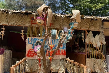 யாழில் பனை வாரத்தை முன்னிட்டு ஆரம்பமான கண்காட்சி நிகழ்வுகள்