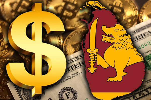 இலங்கை ரூபாயின் பெறுமதியில் ஏற்பட்டுள்ள மாற்றம் | Usd To Lkr Daily Buy And Sell Exchange Rates