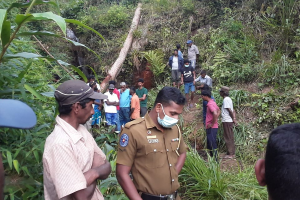 தலவாக்கலை பகுதியில் ஒருவர் உயிரிழப்பு - பொலிஸார் வெளியிட்ட தகவல்(photos) | One Person Was Killed While Cutting Down A Tree