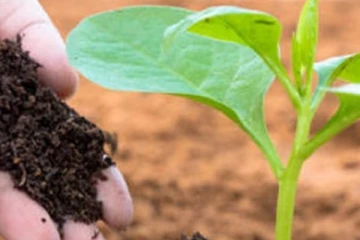 ‍කාබනික පොහොර සම්බන්ධයෙන් රජය ගත් අලුත්ම තීරණය..