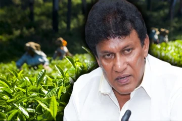 சம்பளத்தை காரணம் காட்டி தோட்டங்களை விட்டு கம்பனிகளை போக சொல்ல வேண்டாம்: மனோ எம்.பி